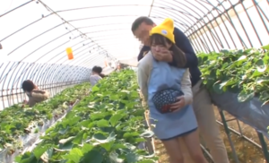 農園でバイト中のロリ美少女が変態親父に痴漢レイプされる！畑で手マンされ大量潮吹き絶頂！そのまま生ハメぶっかけレイプ！！